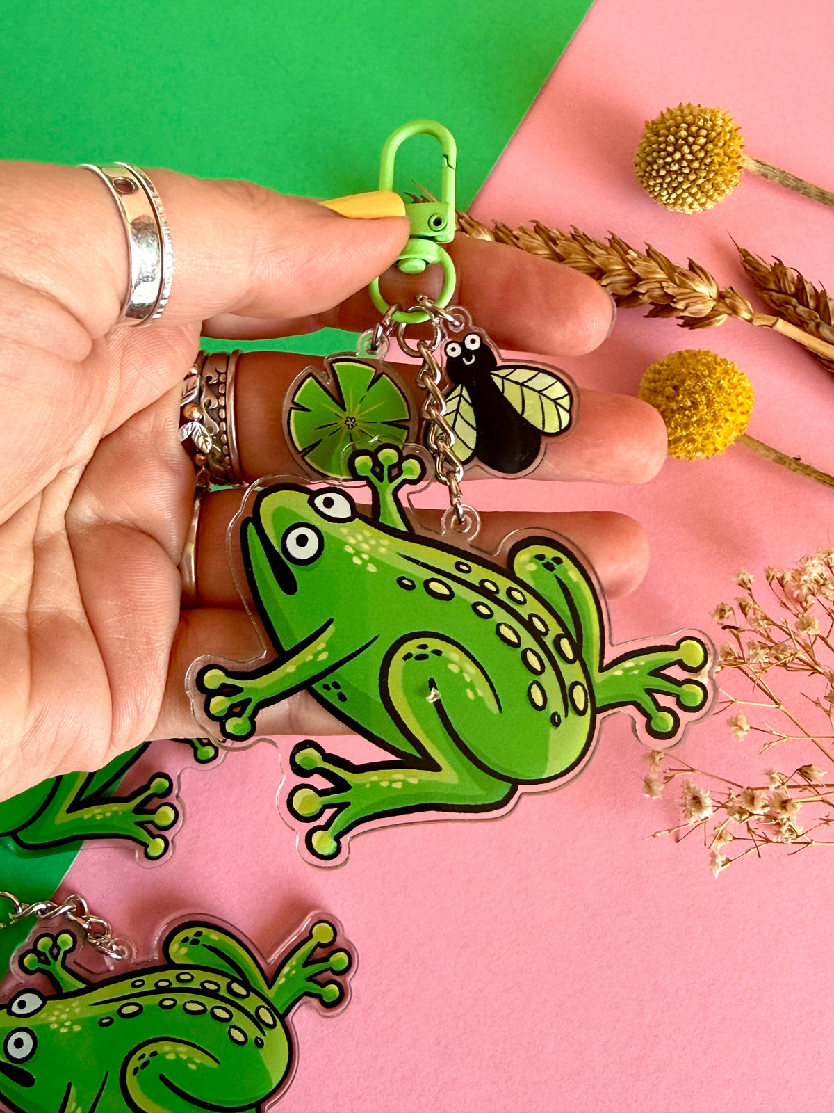 Frog and Fly Acrylic Keyring
