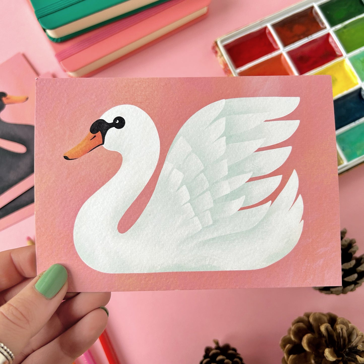 Swan Postcard