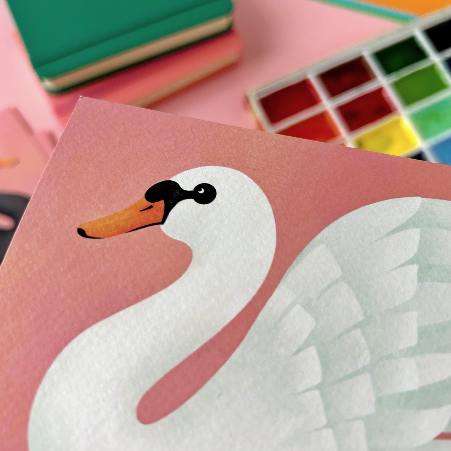 Swan Postcard