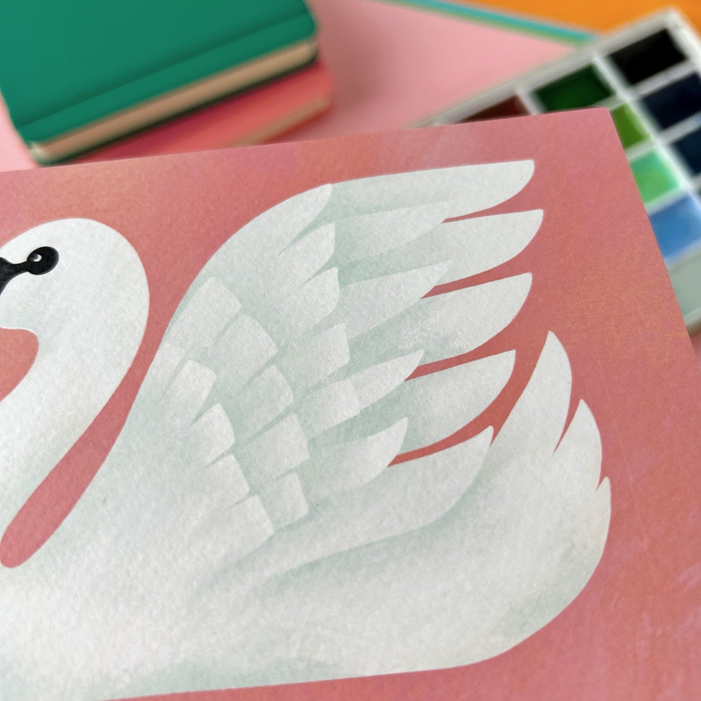 Swan Postcard