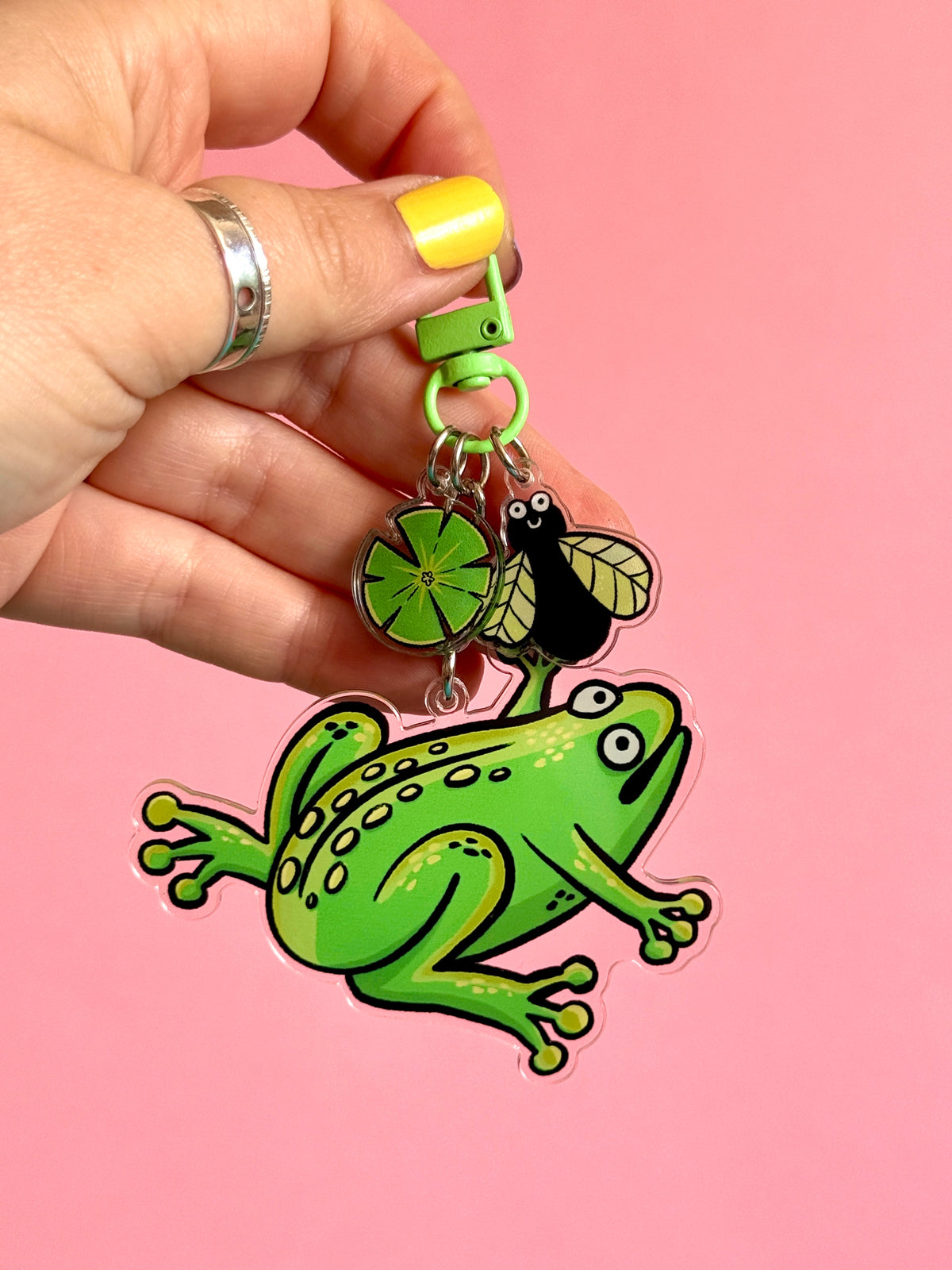 Frog and Fly Acrylic Keyring