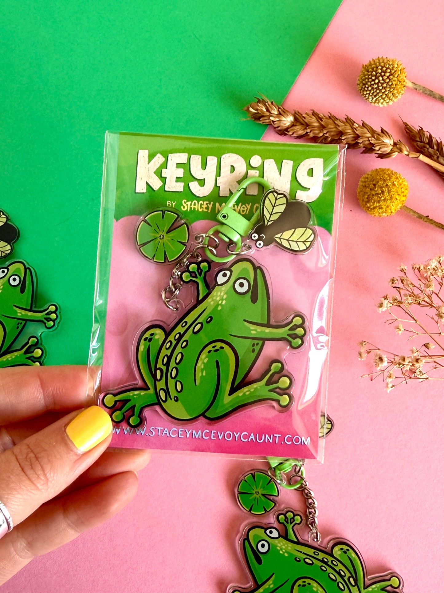 Frog and Fly Acrylic Keyring