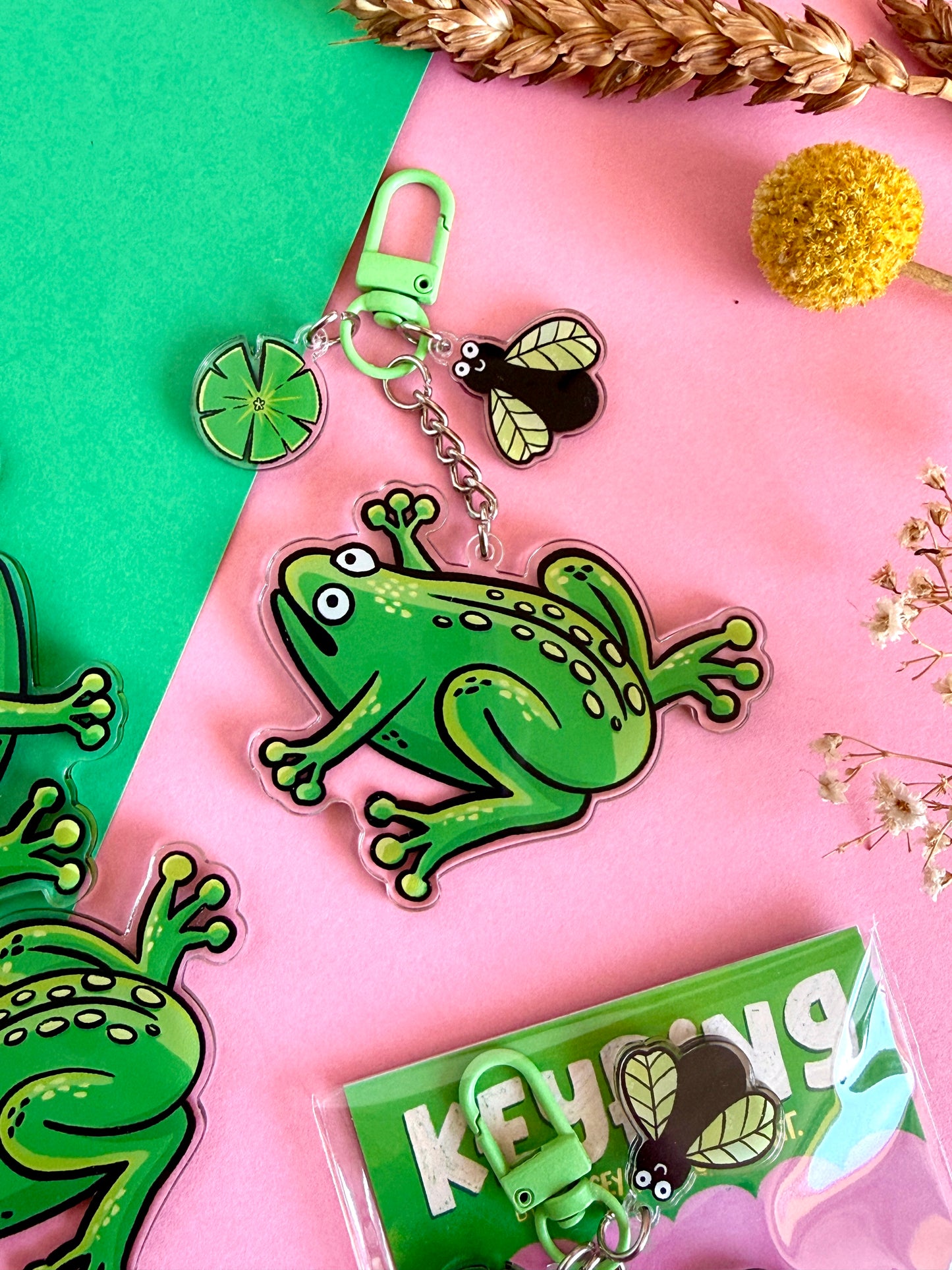 Frog and Fly Acrylic Keyring
