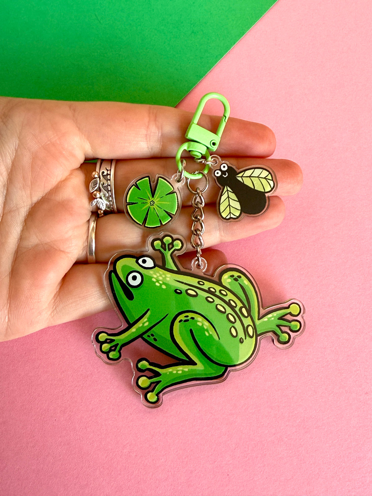 Frog and Fly Acrylic Keyring