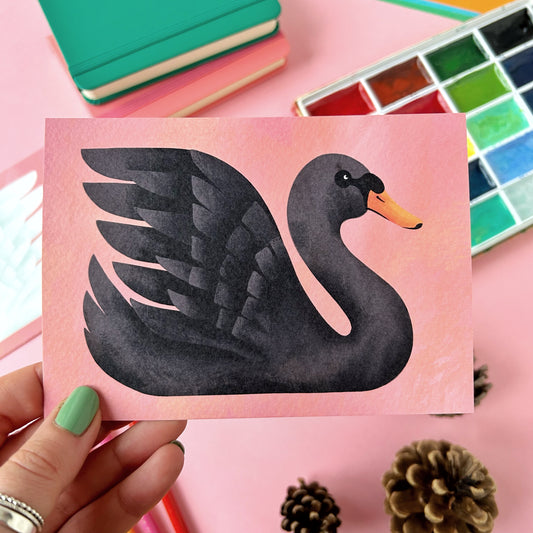 Black Swan Postcard