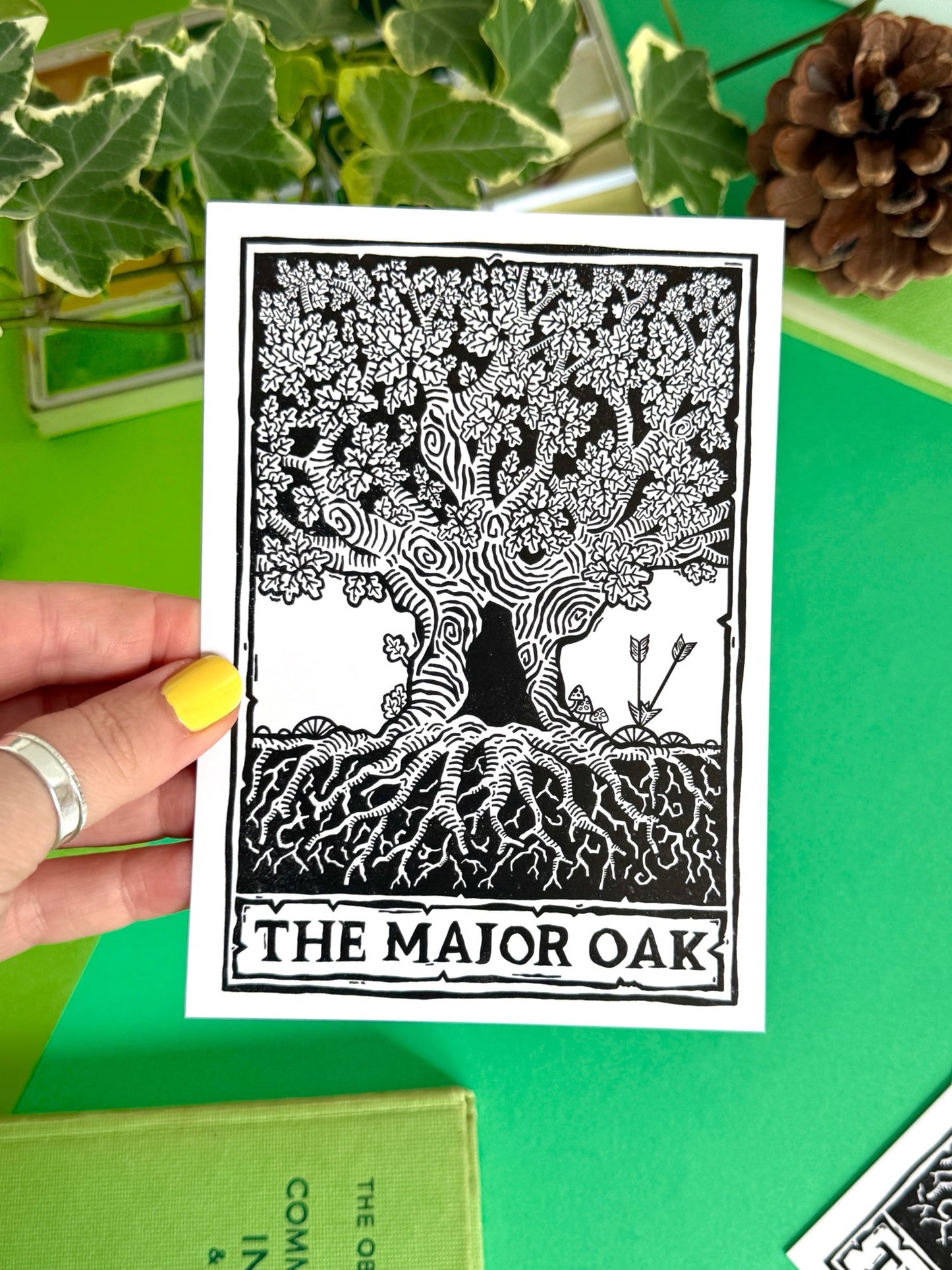 Major Oak Sherwood Forest Postcard