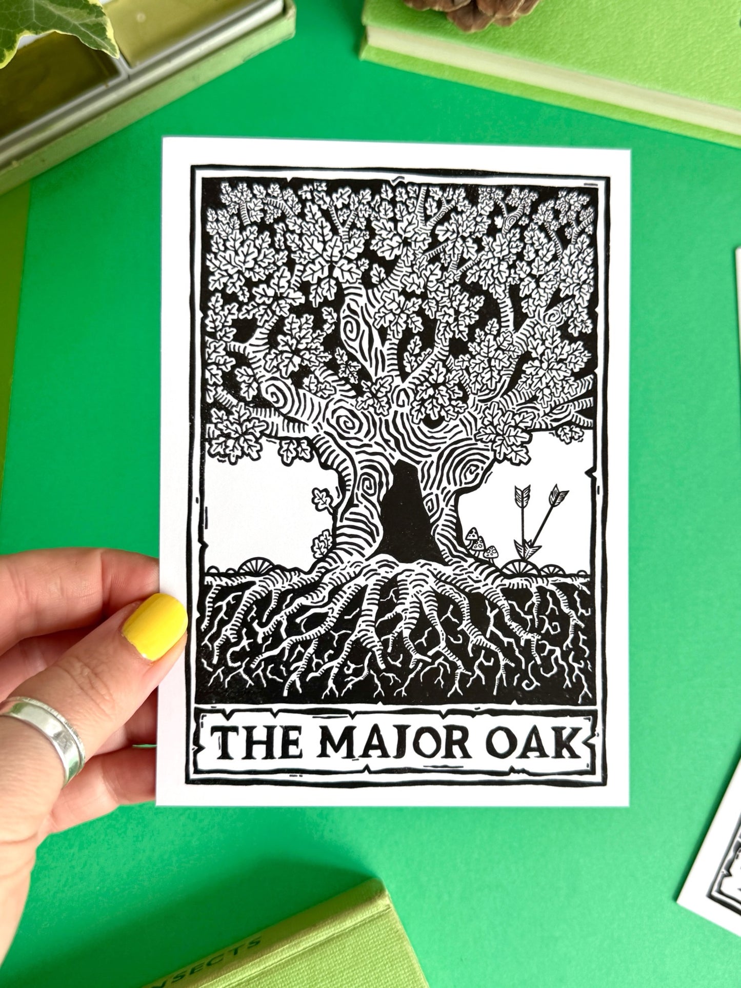 Major Oak Sherwood Forest Postcard