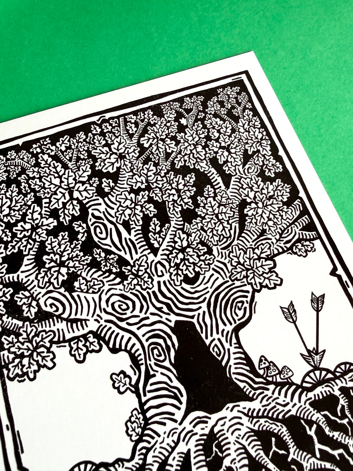 Major Oak Sherwood Forest Postcard