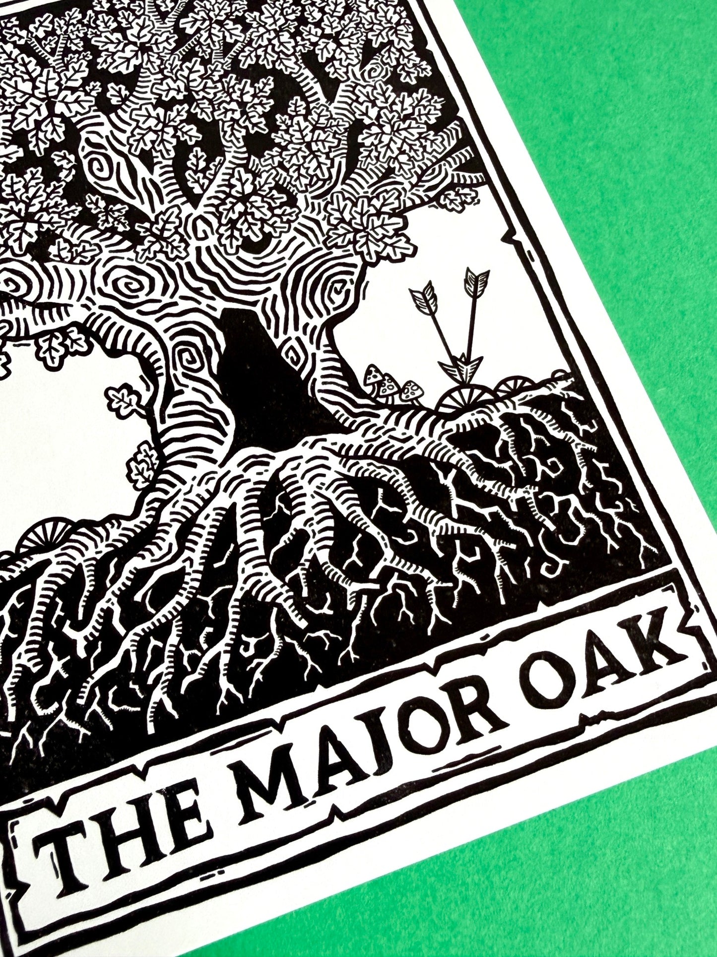 Major Oak Sherwood Forest Postcard