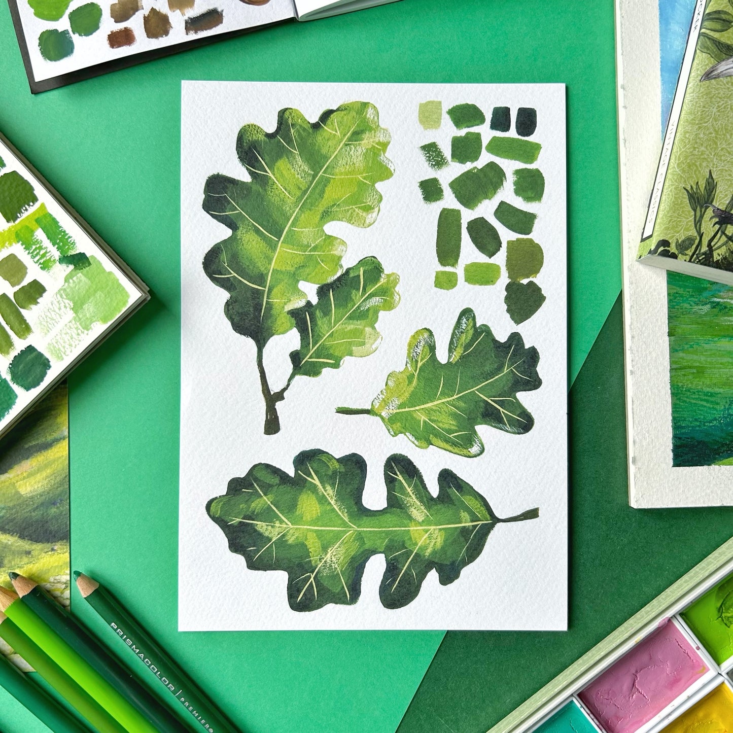 Oak Leaf Study Print