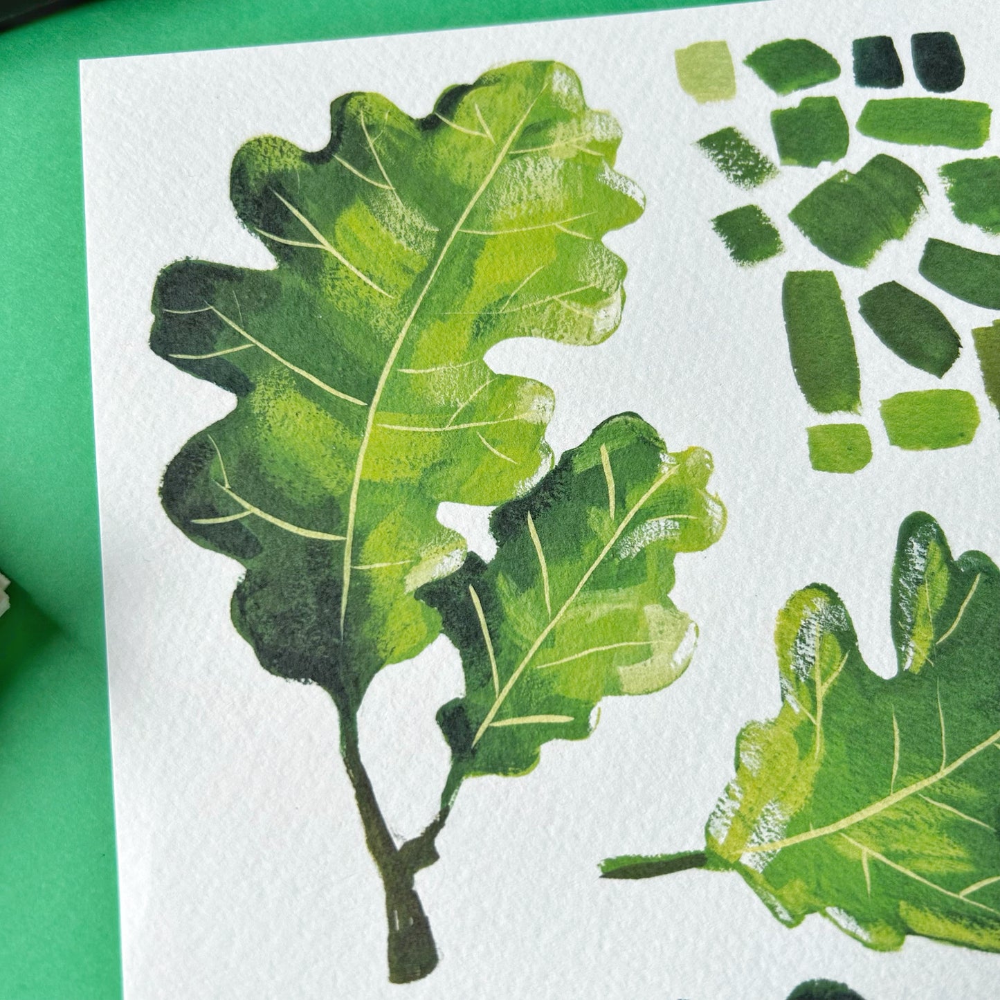 Oak Leaf Study Print